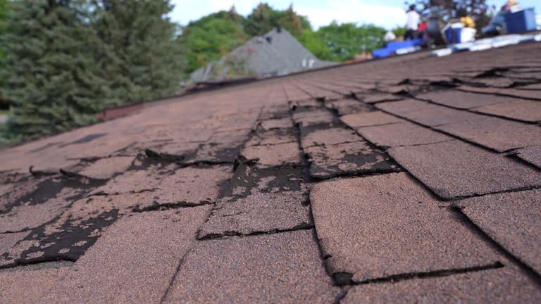 Best Flat Roofing  in Monongahela, PA