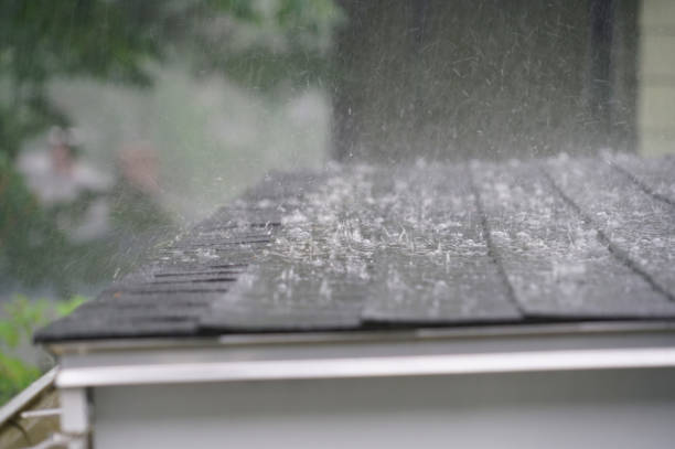 Best Roof Coating and Sealing  in Monongahela, PA