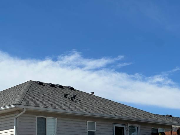 Best Asphalt Shingles Roofing  in Monongahela, PA